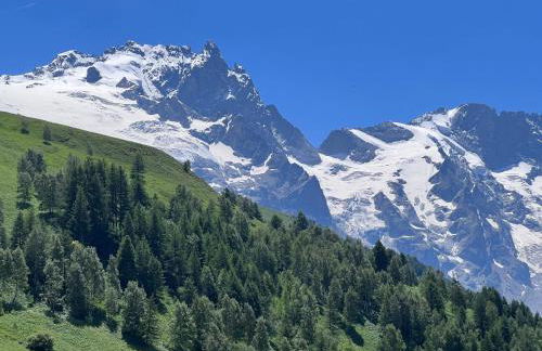 Appartement lumineux, grand balcon, vue sur La Meije - Photo 3