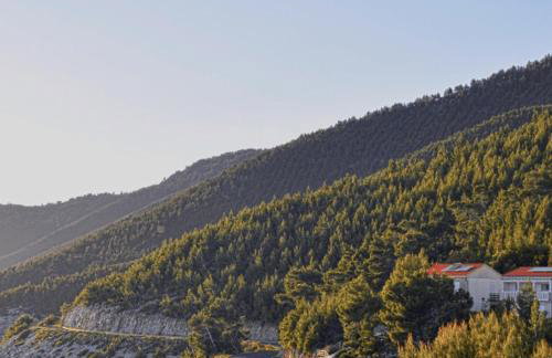 Villa Victor - Foto 30