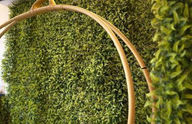 Zampata Executive Living - Foto 7