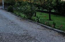 Agriturismo - La capra amaltea - Foto 75