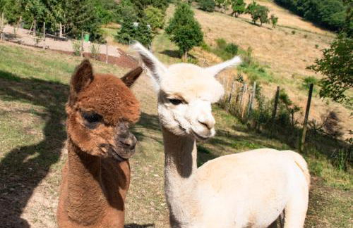 Ferienwohnung Alpaka Blick - Foto 38