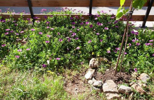 Chania Paradise Retreat - Photo 35