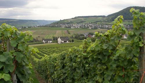 2 Weinhaus Marmann - Photo 2, Other