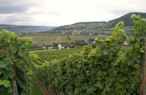 2 Weinhaus Marmann - Foto 2