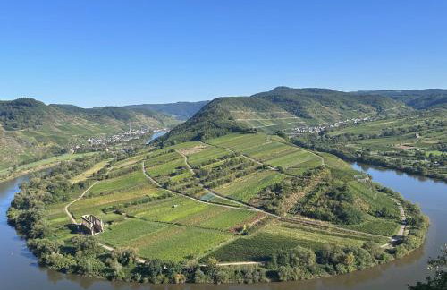 Fewo Himmelblau - Foto 42