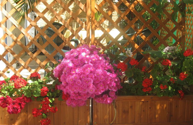 House Between Etna and the sea Near Taormina - Photo 24