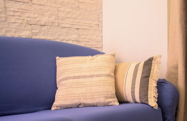 Cleo mimosa - Foto 13