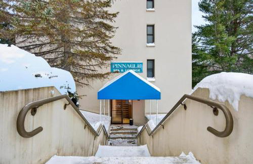 Pinnacle C16 - Foto 33