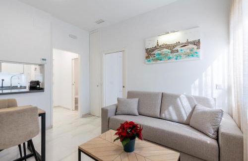 APARTAMENTOS FIBES GARDEN SEVILLA - Foto 57