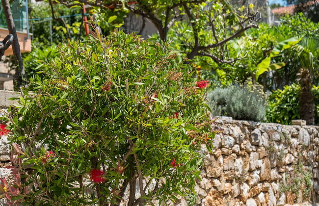 An Apartment Gardenia - Foto 16