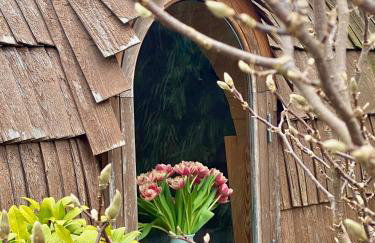 Tiny House Igluhut - Foto 45