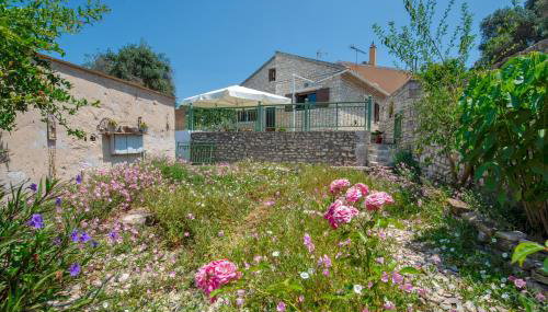 Rena's house - Foto 2, Garden, Garden view