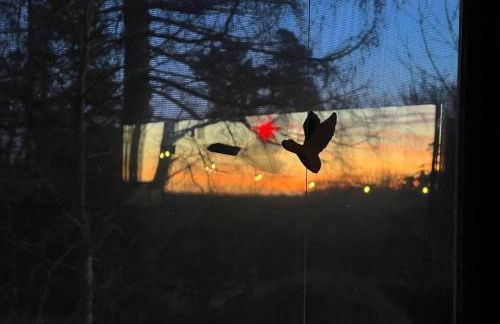 Flämingpanorama - Ländliches Gartenhaus mit Kamin und Naturpanorama - Photo 58