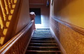 Gabriel's Luxury Suite - Foto 48