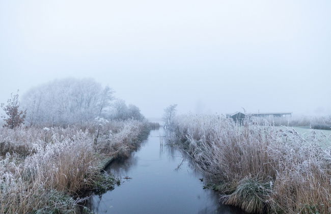 Natuurlijk de Veenhoop - Foto 19