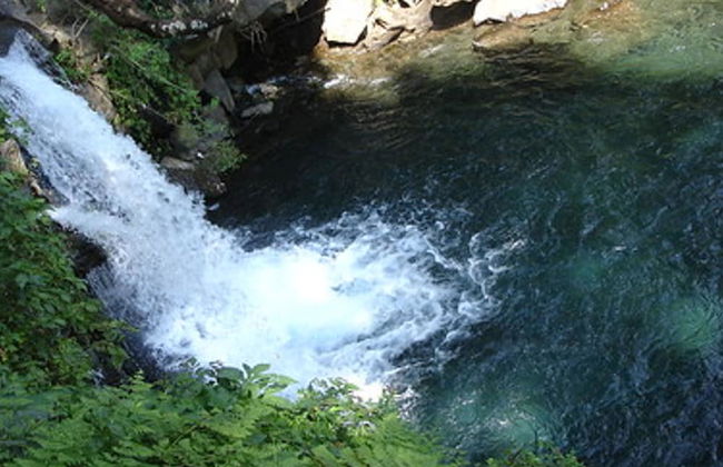 Happy Days Afan Forest - Foto 29