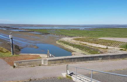 Ferienhaus Hoddebüll nah an der Nordsee - Foto 45