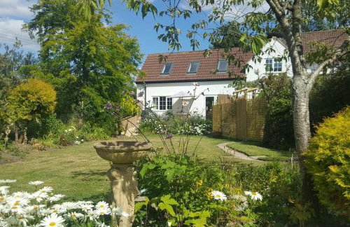 1 Bed in Taunton oc-75135 - Foto 1