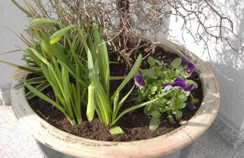 Ferienwohnung Familie Buchner - Foto 44