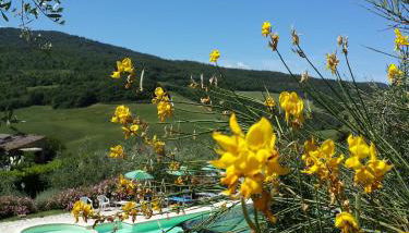 Residence Il Monastero - Foto 1