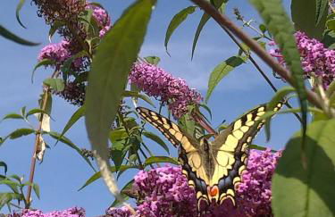 Gite Au Grenier Cosy - Foto 17