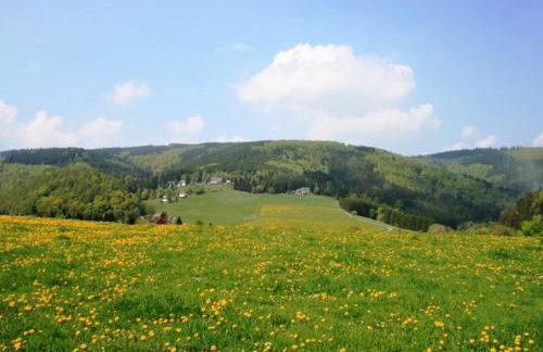 Ferienwohnung bei Willingen mit Terrasse - Photo 33