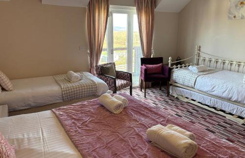 Cambrian View - Photo 4