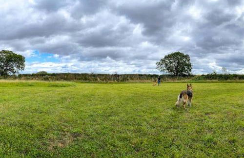 Wooden tiny house Glamping cabin with hot tub 1 - Photo 13