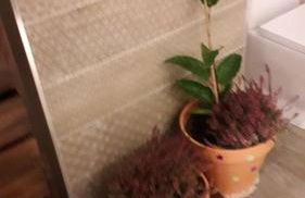 An apartment with an ocean view - Foto 8