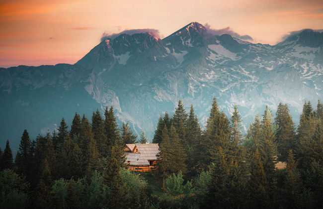 Koca Bistra - Velika planina - Foto 51