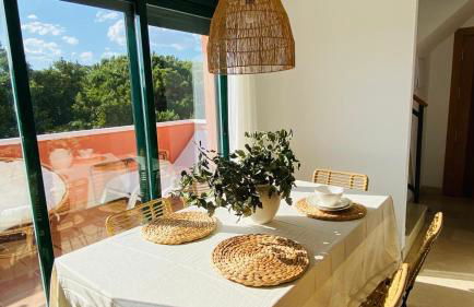 Fancy duplex penthouse in Carib Playa Cabopino - Photo 31