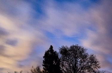 The Shepherd's Hut with cozy logburner - Foto 40