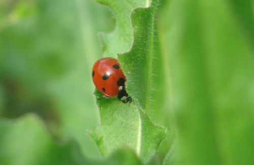Agriturismo Floriani - Foto 24