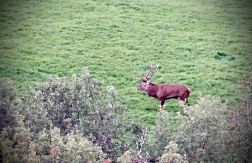 Chalet de charme pied des pistes - Photo 21