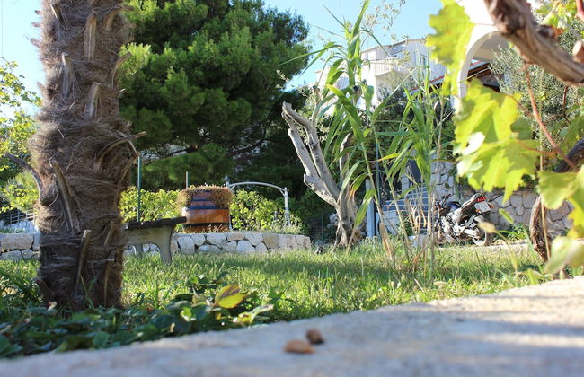 Apartments Bluesun - Foto 27