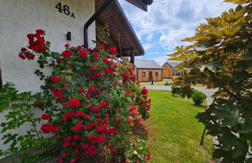 Chata w Bieszczadzie apartamenty i domki z basenem Bieszczady - Photo 71