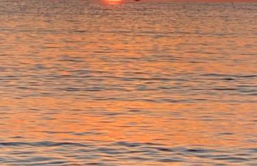 Les Palmiers - Foto 24