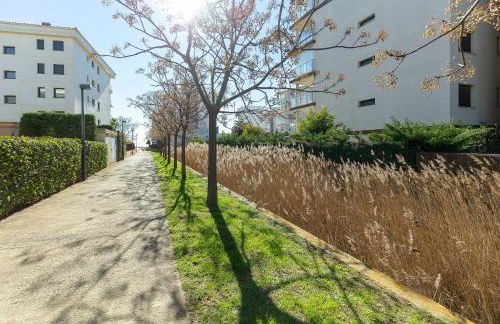 V010 - MILENIUM - Roses - Foto 51