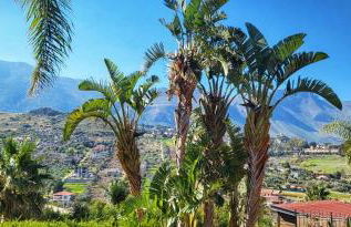 Villa Agae - Foto 24