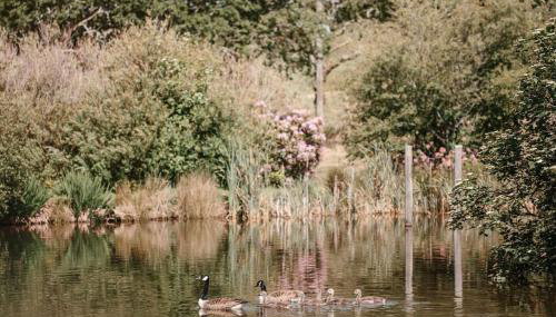 Hendra Barn at Hendra Barns - Foto 3