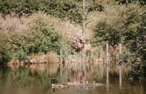 Hendra Barn at Hendra Barns - Foto 3