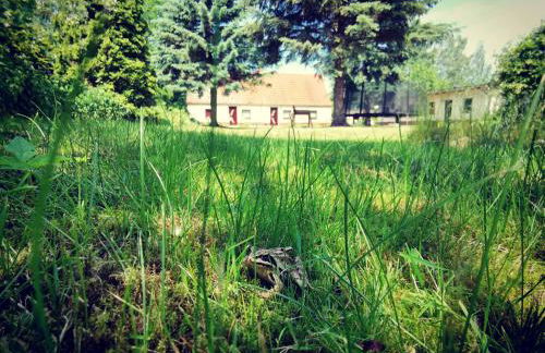 Doppelhaushälfte Nordwind vom Naturhof Usedom - Foto 51