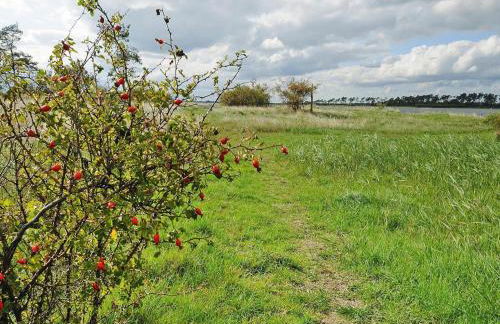 Gutshaus Zicker in Garz - Foto 15