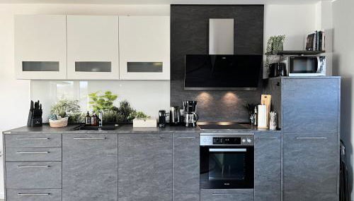 Schönes PENTHOUSE Dümmer See - Lembruch - Foto 4, stove, toaster