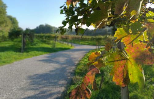 Residenza Gli Agrumi del Garda - Foto 44