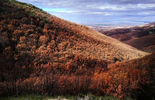 Dúplex con piscina climatizada y sauna, El último rincón - Foto 37