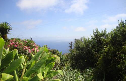 Blooming Botanic Houses - Foto 26