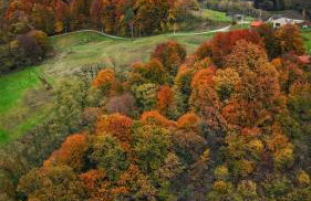 Svetli Raj - Foto 18