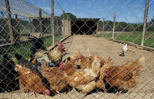 Mas El Brugué - Foto 39