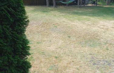 Dom letniskowy na wyłączność Polanka 11- 13 osób - Foto 26